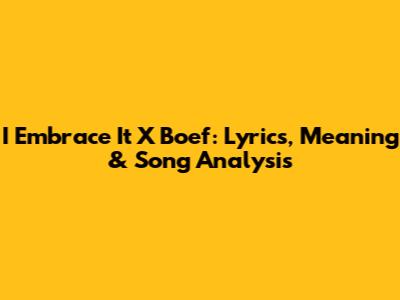 I Embrace It X Boef: Lyrics, Meaning & Song Analysis