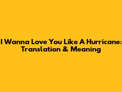 I Wanna Love You Like A Hurricane: Translation & Meaning