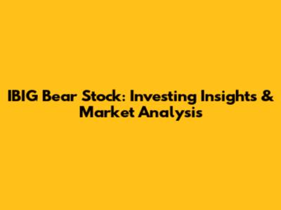IBIG Bear Stock: Investing Insights & Market Analysis