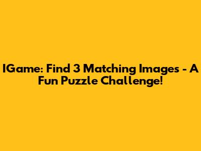 IGame: Find 3 Matching Images - A Fun Puzzle Challenge!