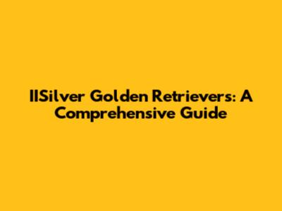 IISilver Golden Retrievers: A Comprehensive Guide