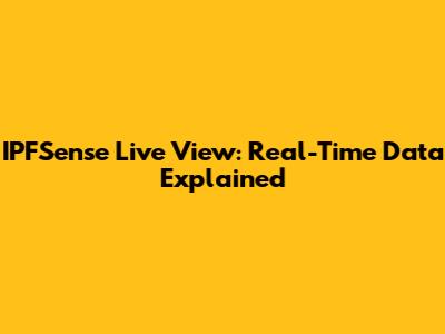 IPFSense Live View: Real-Time Data Explained