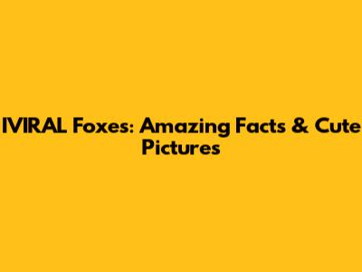 IVIRAL Foxes: Amazing Facts & Cute Pictures