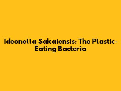 Ideonella Sakaiensis: The Plastic-Eating Bacteria