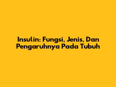 Insulin: Fungsi, Jenis, Dan Pengaruhnya Pada Tubuh