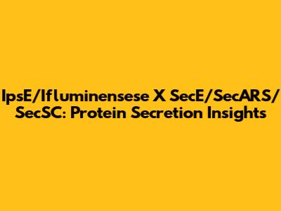 IpsE/Ifluminensese X SecE/SecARS/SecSC: Protein Secretion Insights