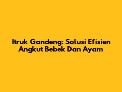 Itruk Gandeng: Solusi Efisien Angkut Bebek Dan Ayam