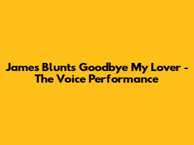 James Blunt's 'Goodbye My Lover' - The Voice Performance