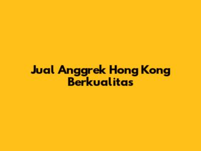 Jual Anggrek Hong Kong Berkualitas