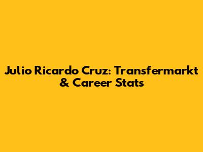 Julio Ricardo Cruz: Transfermarkt & Career Stats