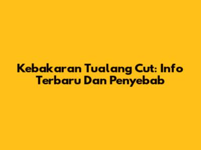 Kebakaran Tualang Cut: Info Terbaru Dan Penyebab