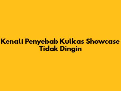Kenali Penyebab Kulkas Showcase Tidak Dingin