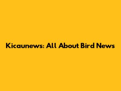Kicaunews: All About Bird News