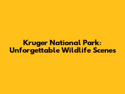 Kruger National Park: Unforgettable Wildlife Scenes