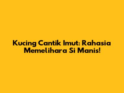 Kucing Cantik Imut: Rahasia Memelihara Si Manis!