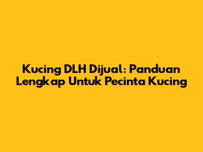 Kucing DLH Dijual: Panduan Lengkap Untuk Pecinta Kucing