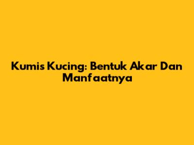 Kumis Kucing: Bentuk Akar Dan Manfaatnya