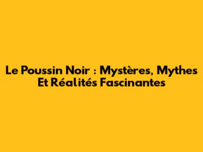 Le Poussin Noir : Mystères, Mythes Et Réalités Fascinantes