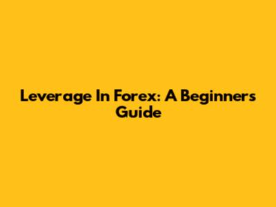 Leverage In Forex: A Beginner's Guide
