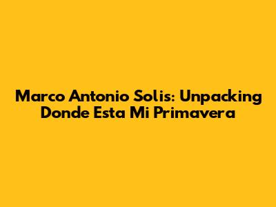 Marco Antonio Solis: Unpacking "Donde Esta Mi Primavera"