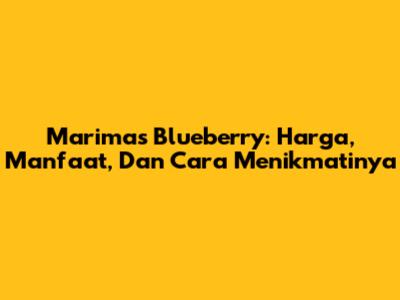 Marimas Blueberry: Harga, Manfaat, Dan Cara Menikmatinya