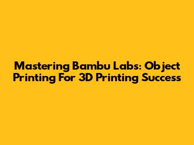 Mastering Bambu Labs: Object Printing For 3D Printing Success