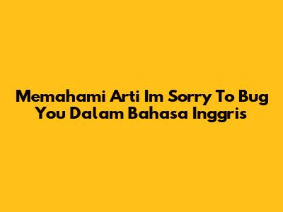 Memahami Arti 'I'm Sorry To Bug You' Dalam Bahasa Inggris