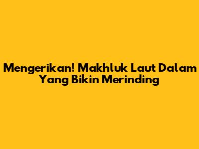 Mengerikan! Makhluk Laut Dalam Yang Bikin Merinding
