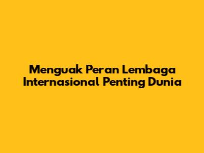 Menguak Peran Lembaga Internasional Penting Dunia