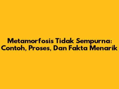 Metamorfosis Tidak Sempurna: Contoh, Proses, Dan Fakta Menarik