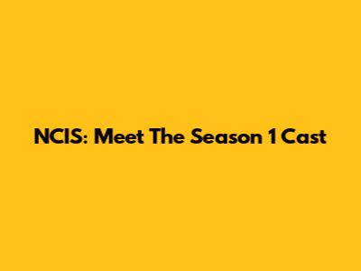 NCIS: Meet The Season 1 Cast
