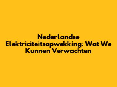 Nederlandse Elektriciteitsopwekking: Wat We Kunnen Verwachten