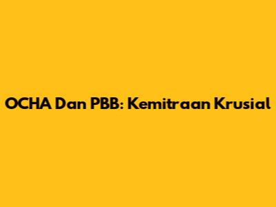 OCHA Dan PBB: Kemitraan Krusial