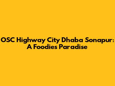 OSC Highway City Dhaba Sonapur: A Foodie's Paradise