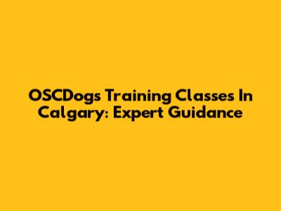 OSCDogs Training Classes In Calgary: Expert Guidance