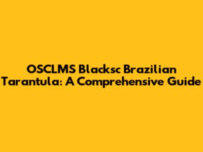 OSCLMS Blacksc Brazilian Tarantula: A Comprehensive Guide