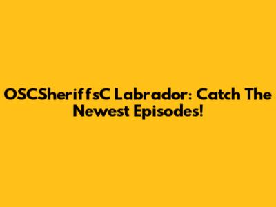 OSCSheriffsC Labrador: Catch The Newest Episodes!