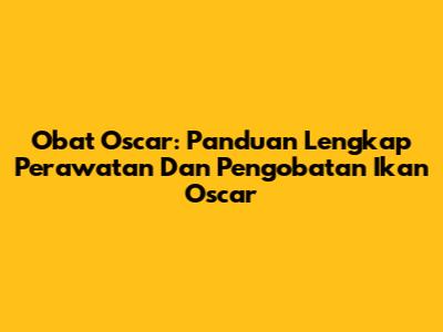 Obat Oscar: Panduan Lengkap Perawatan Dan Pengobatan Ikan Oscar