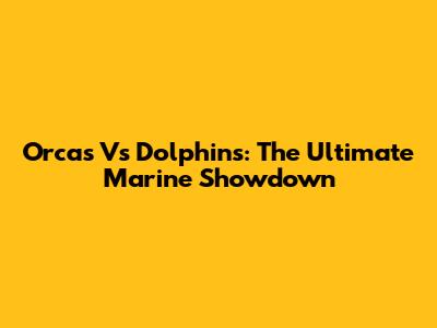 Orcas Vs Dolphins: The Ultimate Marine Showdown