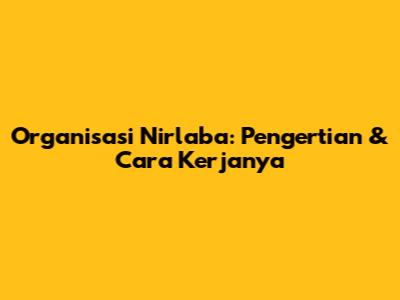 Organisasi Nirlaba: Pengertian & Cara Kerjanya