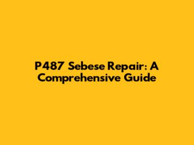 P487 Sebese Repair: A Comprehensive Guide