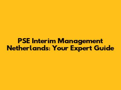 PSE Interim Management Netherlands: Your Expert Guide