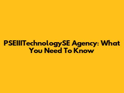 PSEIIITechnologySE Agency: What You Need To Know