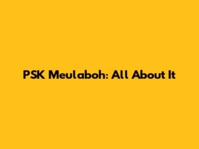 PSK Meulaboh: All About It