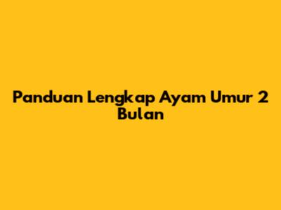 Panduan Lengkap Ayam Umur 2 Bulan