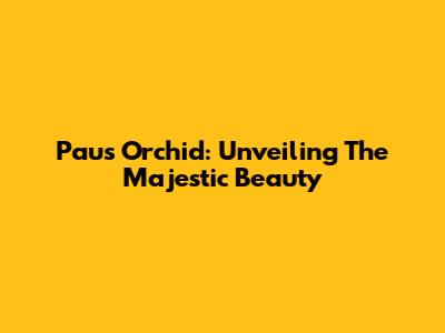 Paus Orchid: Unveiling The Majestic Beauty