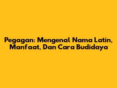 Pegagan: Mengenal Nama Latin, Manfaat, Dan Cara Budidaya