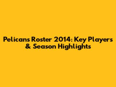 Pelicans Roster 2014: Key Players & Season Highlights