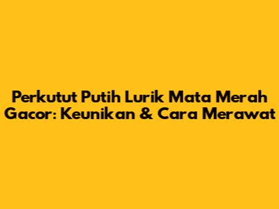 Perkutut Putih Lurik Mata Merah Gacor: Keunikan & Cara Merawat
