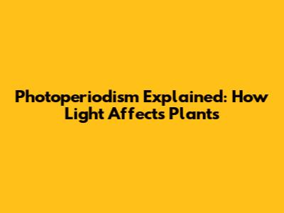 Photoperiodism Explained: How Light Affects Plants